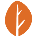 WLS Konsult AB logotyp