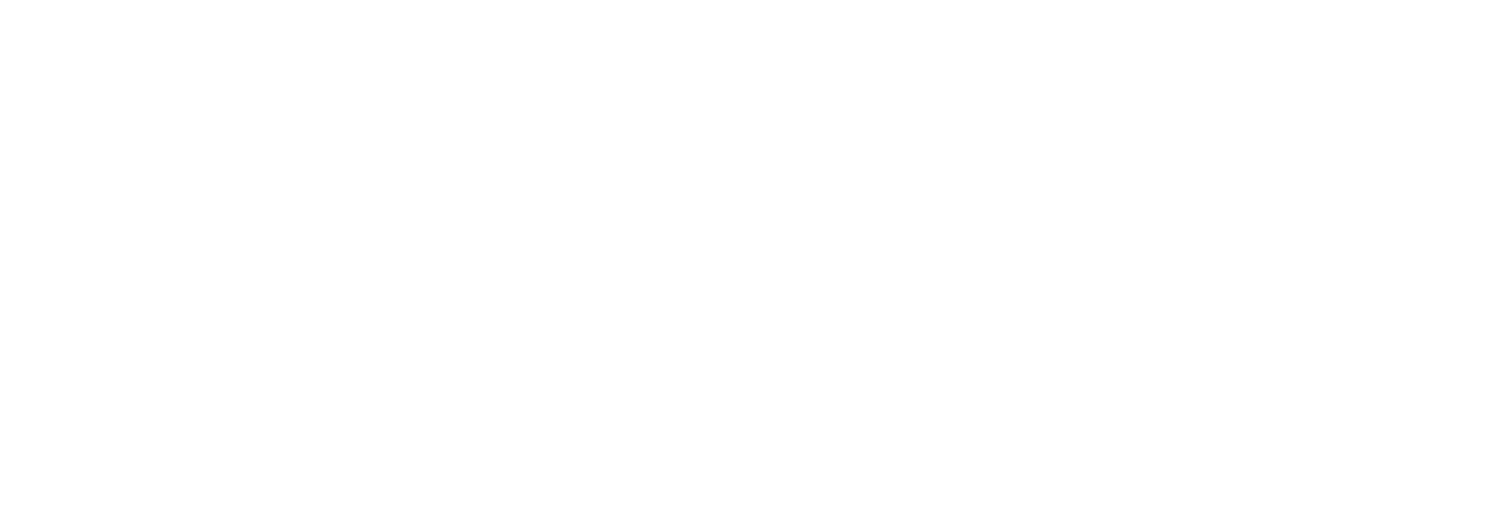 AAP Aviation Crew AB logotyp