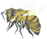 Bee Future AB logotyp