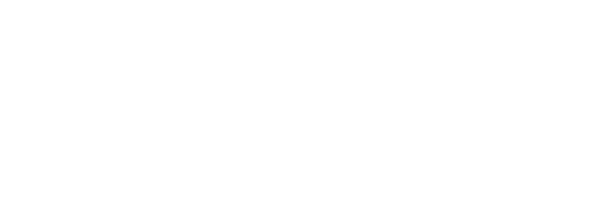 Bolevo Sverige AB logotyp