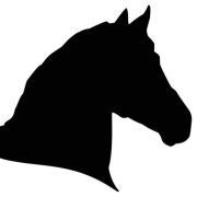 Felicia Grimmenhag Dressage AB logotyp