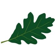 Skogsvila AB logotyp
