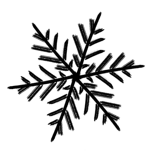 Vinternatt Studio AB logotyp