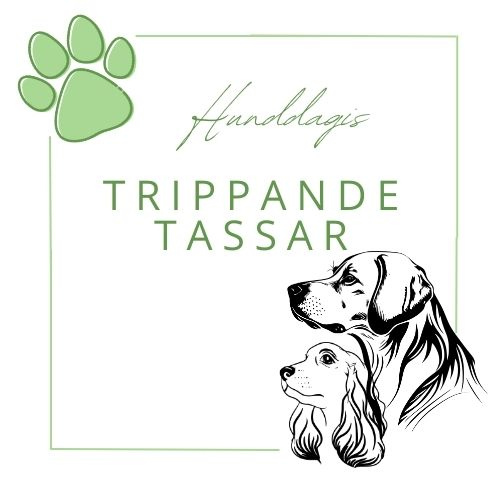 Hunddagis Trippande tassar AB logotyp