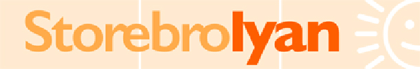 STOREBRO Lyan AB logotyp