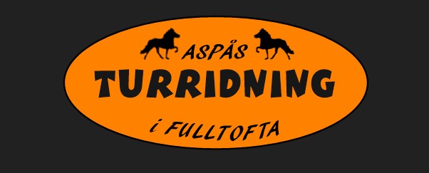 Anna Jonsson turridning AB logotyp