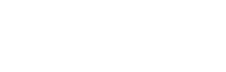 Svensk Butiksetablering AB logotyp