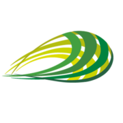 Brillianze Sweden AB logotyp