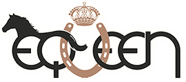 Find it online Sweden AB logotyp