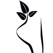 Primero i Sthlm AB logotyp