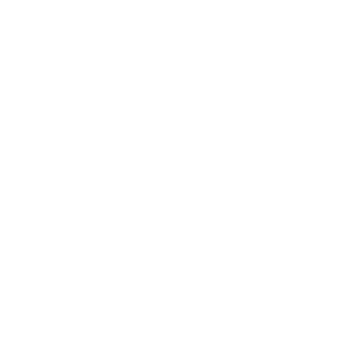 Picture Perfect Visuals AB logotyp