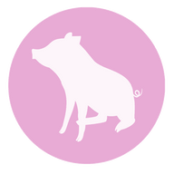 OINK AB logotyp