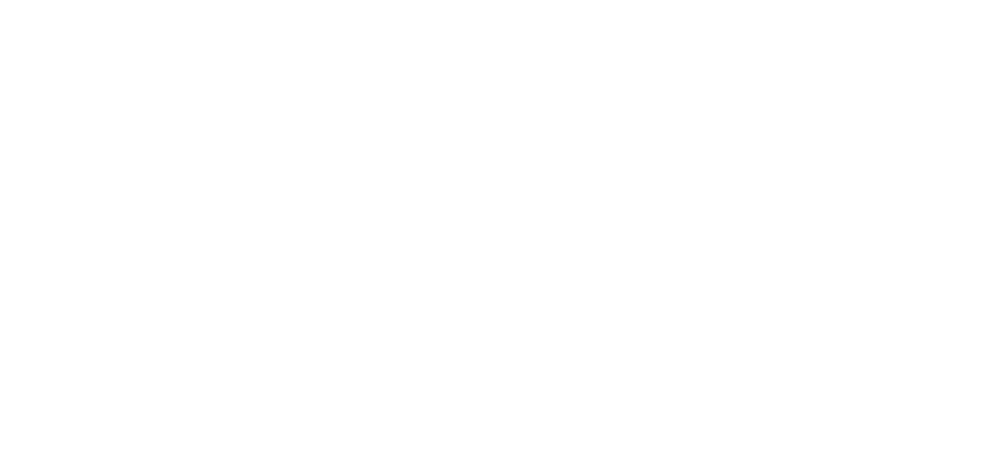Bernstorp Biltvätt AB logotyp
