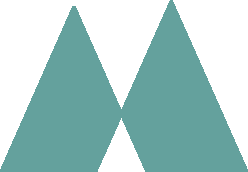 Think North IT & Recruitment AB logotyp