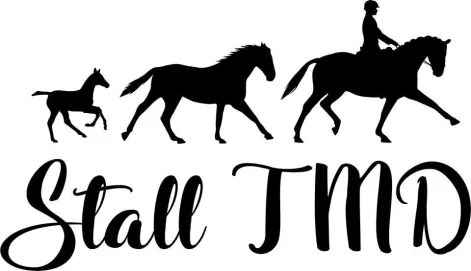 Team TMD AB logotyp