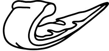 Pizzaslize AB logotyp