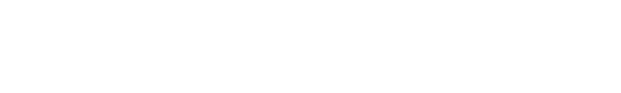 DN Borr AB logotyp