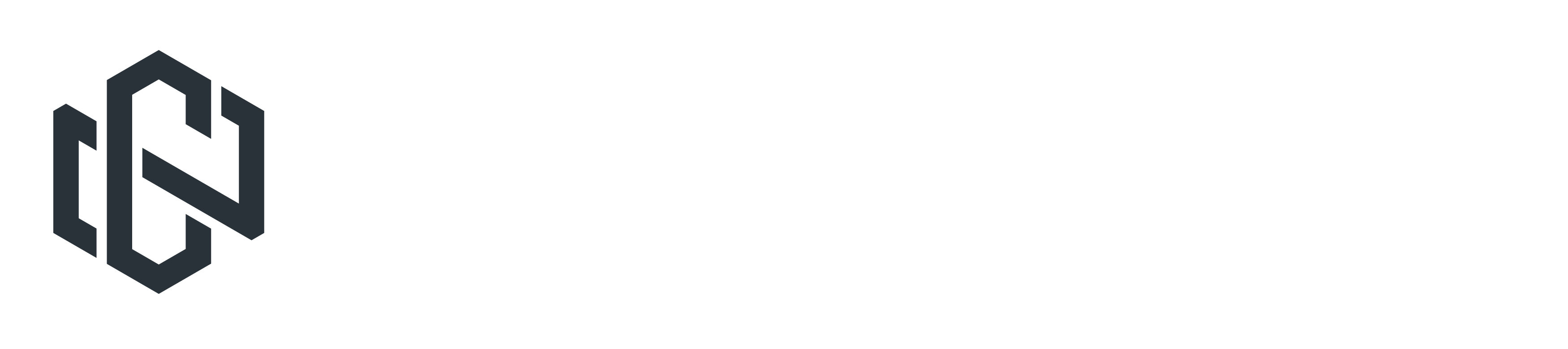 Netcamp AB logotyp