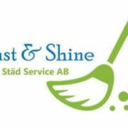 Dust & Shine Aktiebolag logotyp
