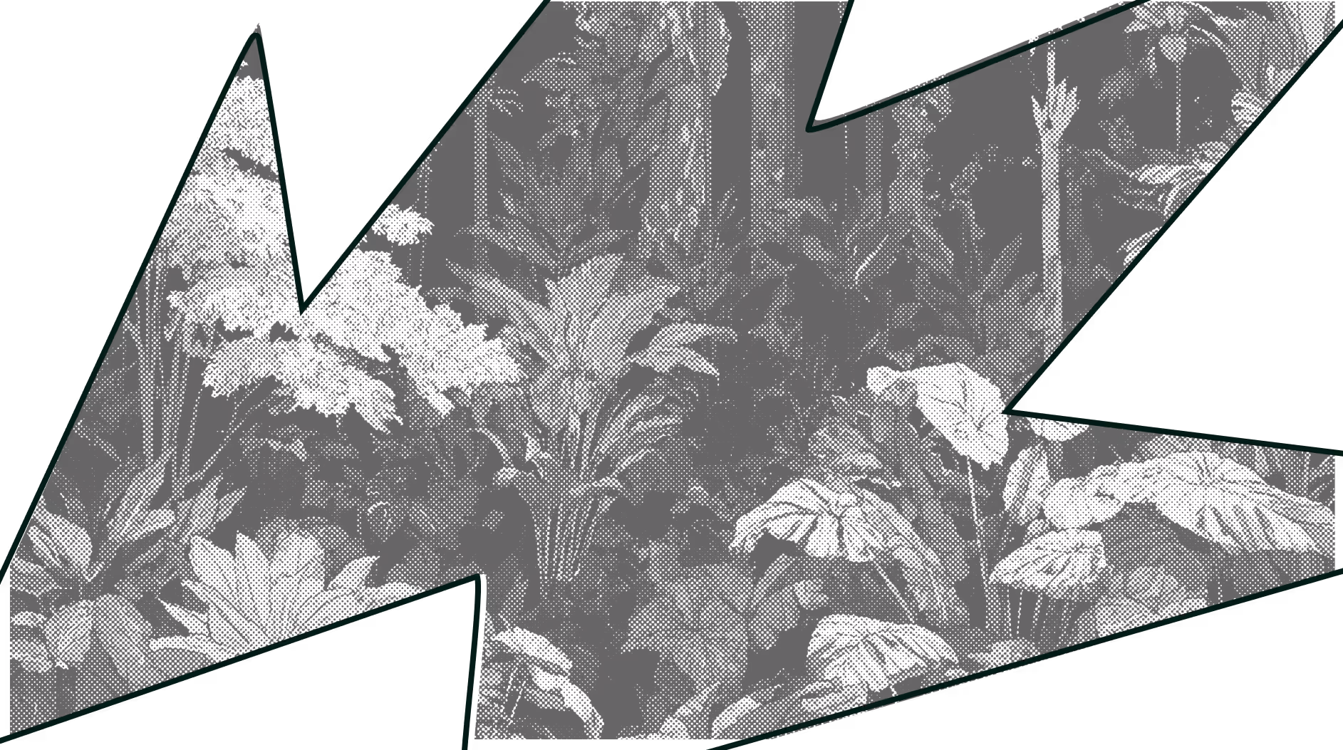 House of Impact AB logotyp