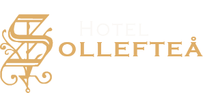 Tidens Poesi Turism AB logotyp