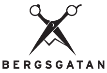 Salong Bergsgatan AB logotyp