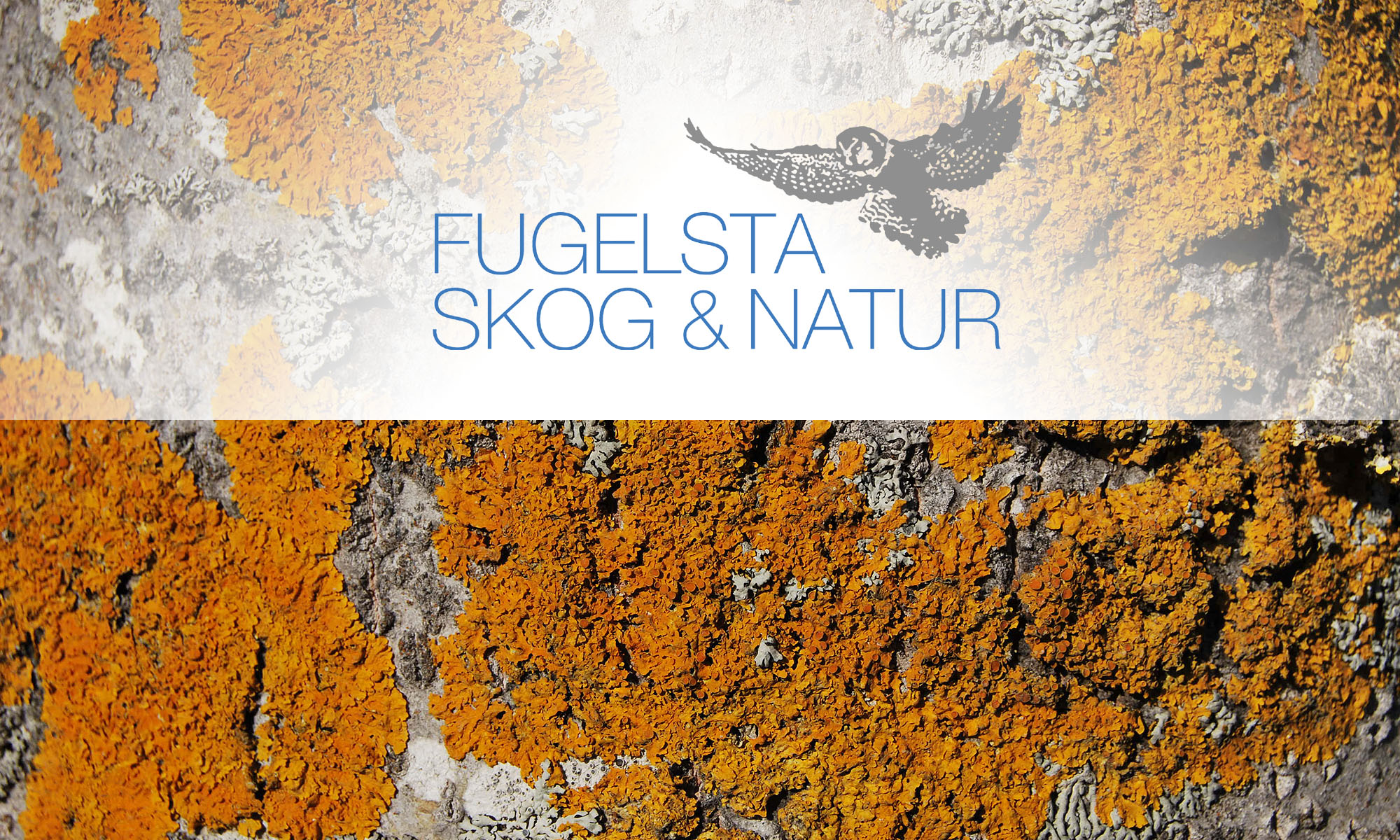 Fugelsta Skog & Natur AB logotyp
