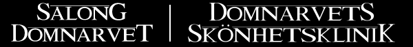 Salong Domnarvet AB logotyp