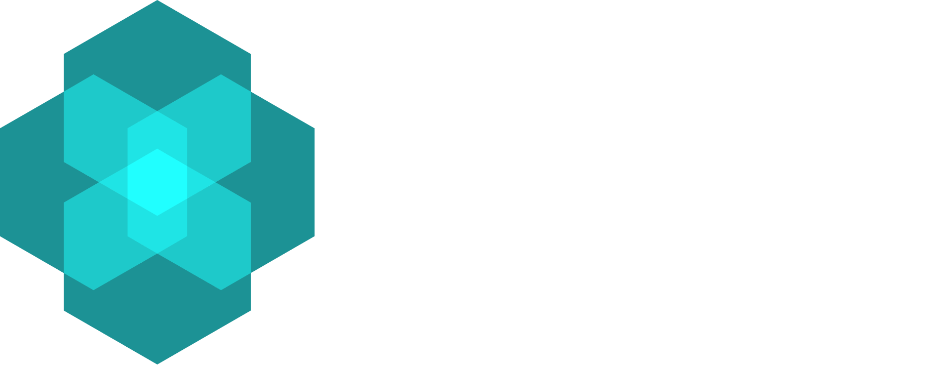 Brinja AB logotyp