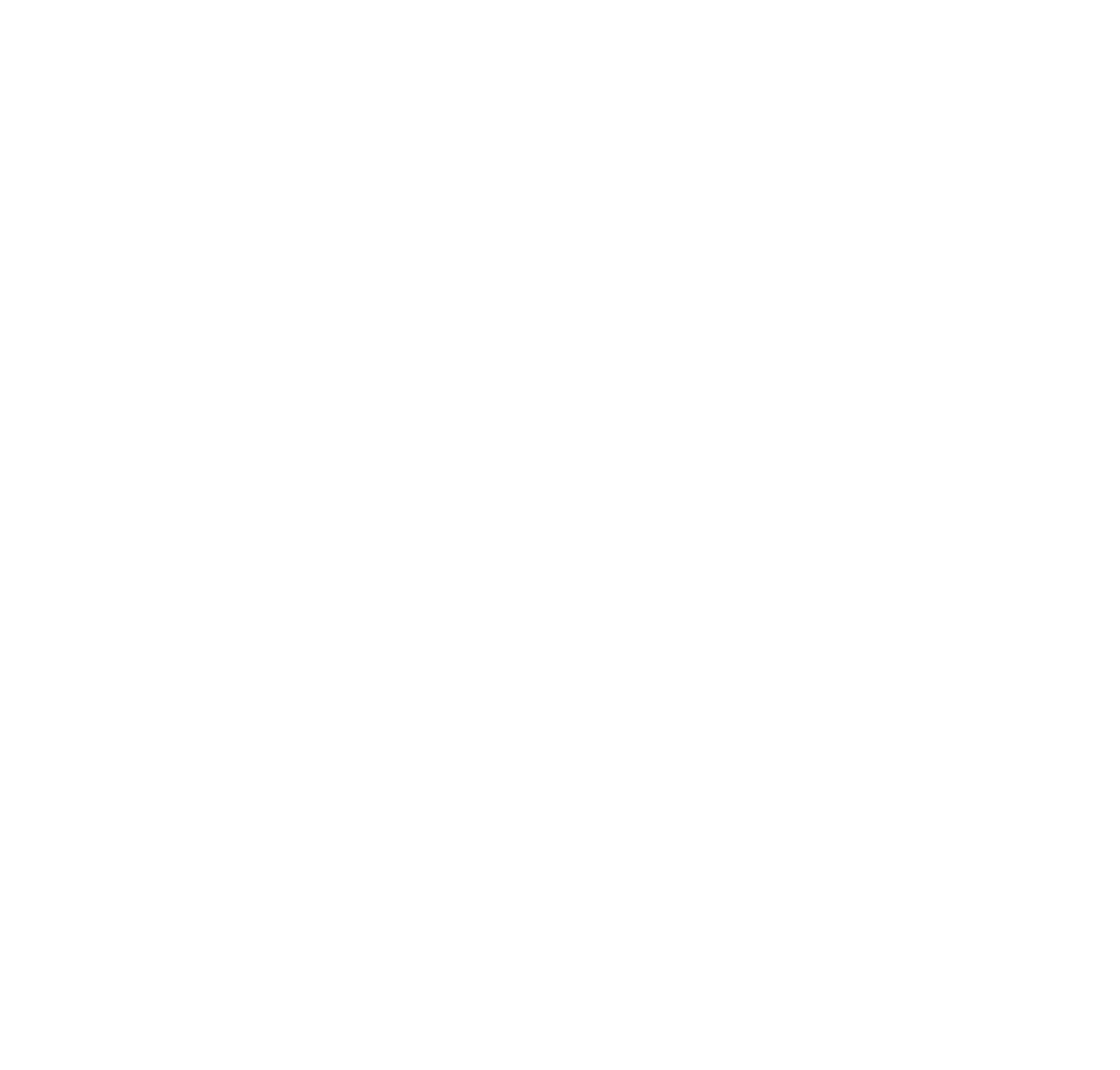 No Ordinary Concept AB logotyp