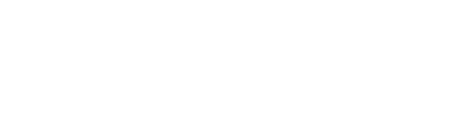 Bara Blommor Malmö AB logotyp