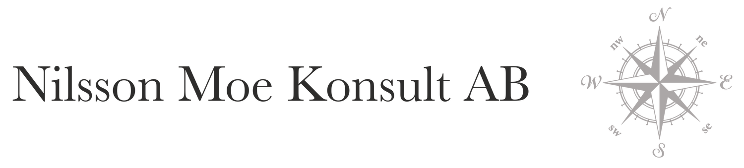 NILSSON MOE KONSULT AB logotyp