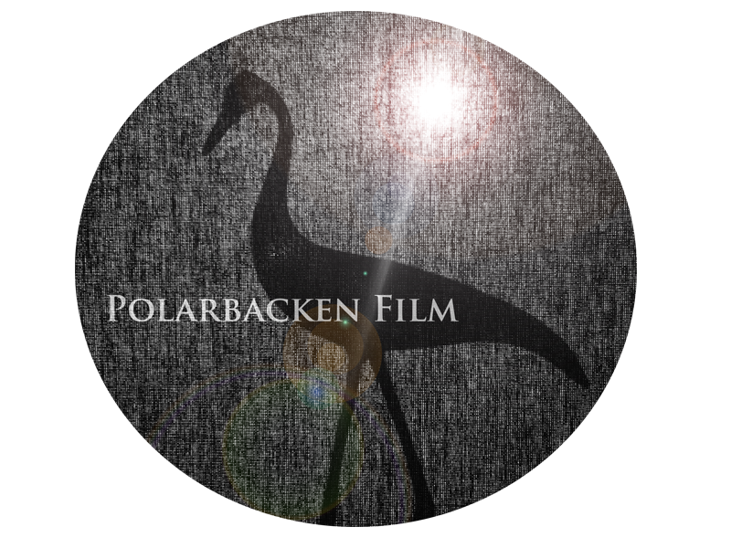 Polarbacken Film AB logotyp