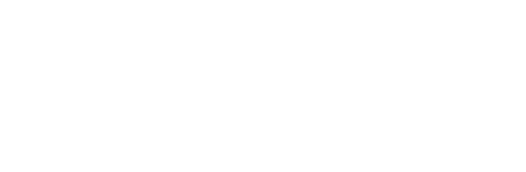 Salong Nivå Falkenberg AB logotyp