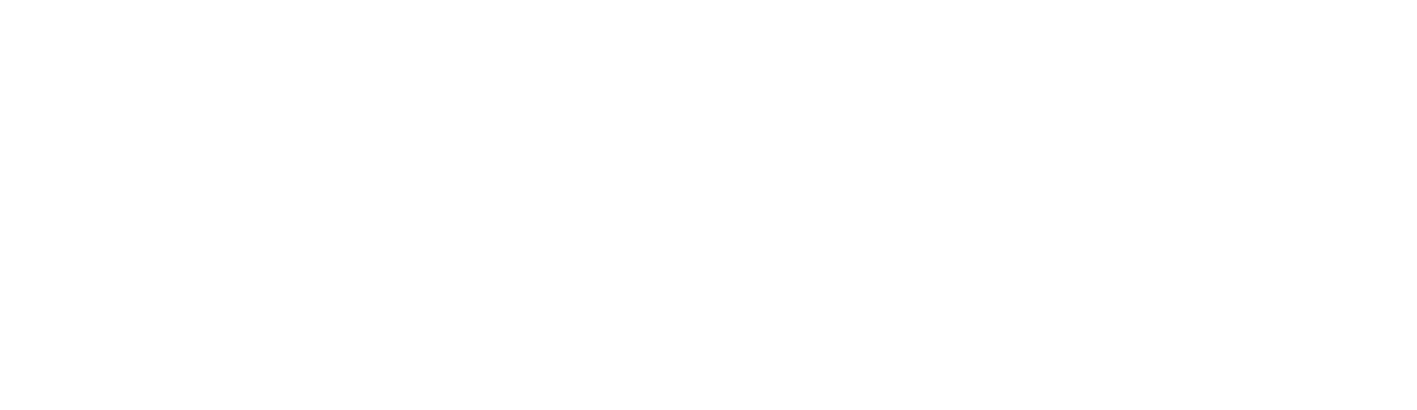 FZ Elektronik AB logotyp