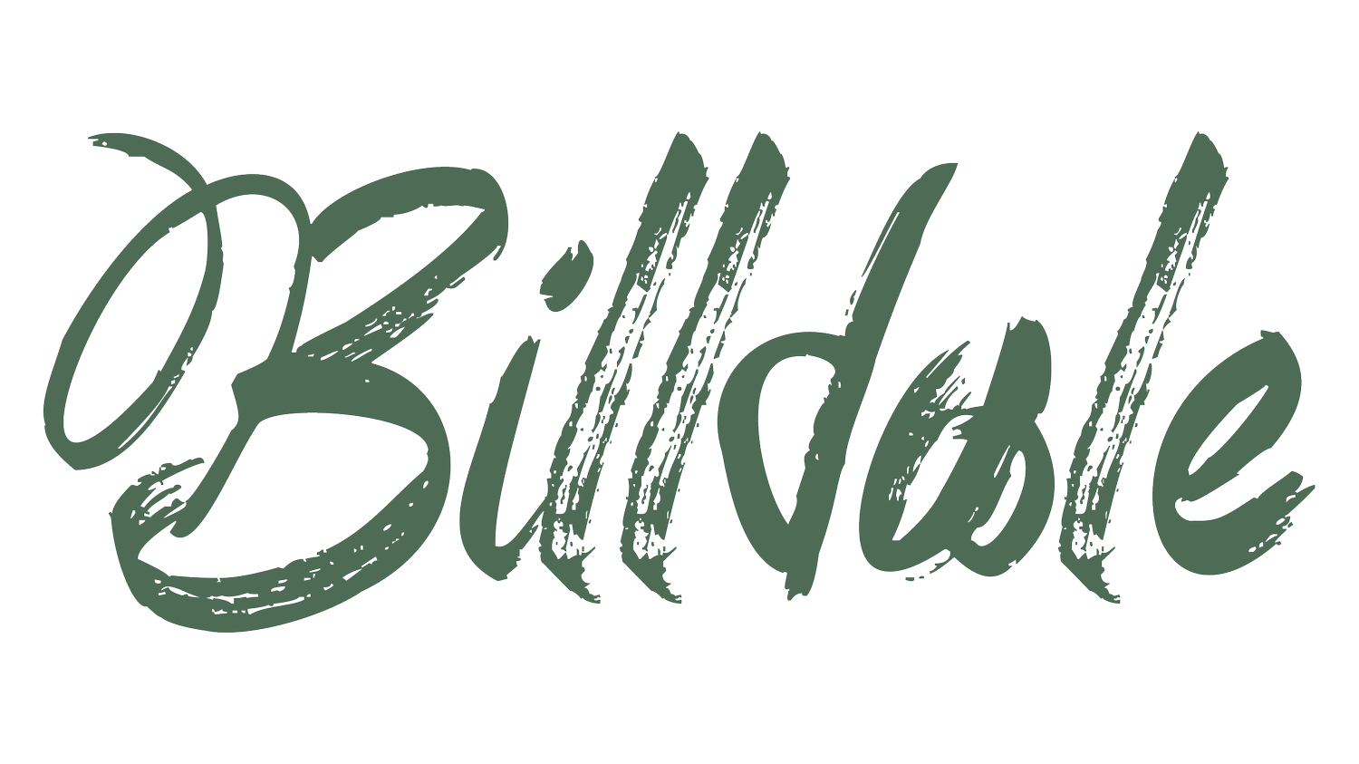Billdale & Co AB logotyp