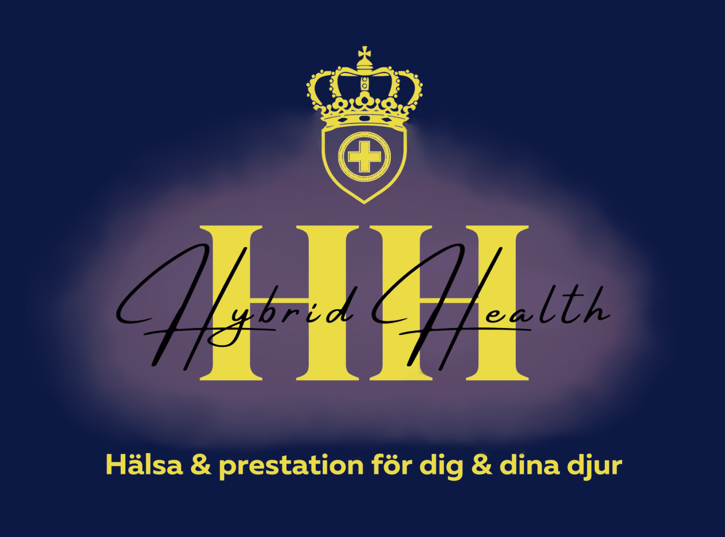 TMK Hybrid Health AB logotyp