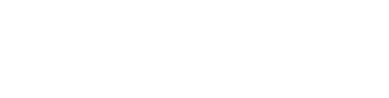 Nordic School of Management AB logotyp