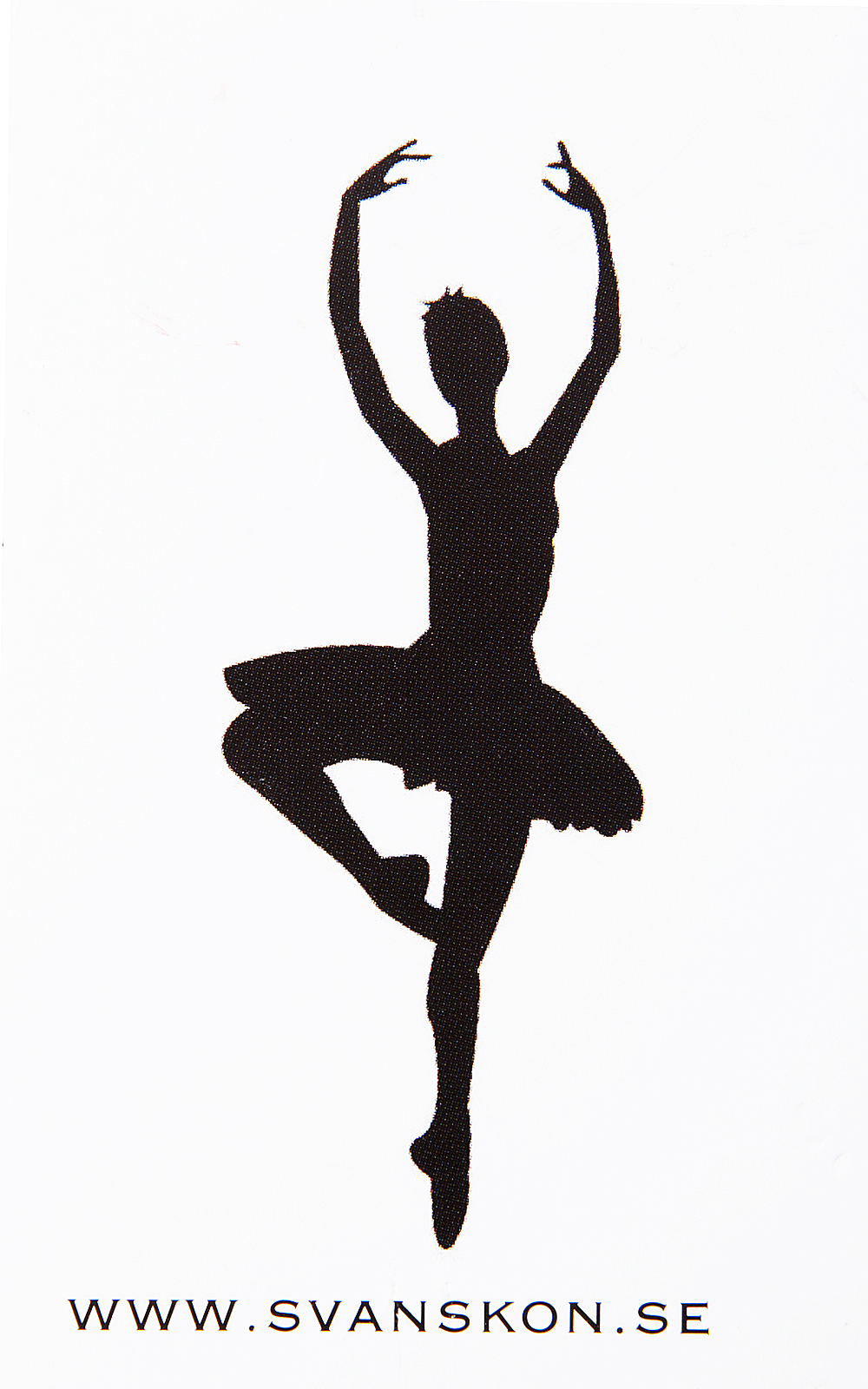 Svanskön Dans&Balletshop AB logotyp