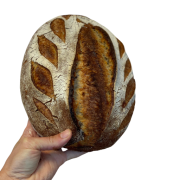 Krantz Brödbod AB logotyp