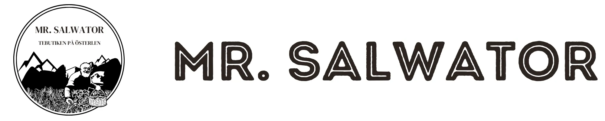 Mr. Salwator Aktiebolag logotyp