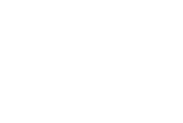 Nordic VL AB logotyp