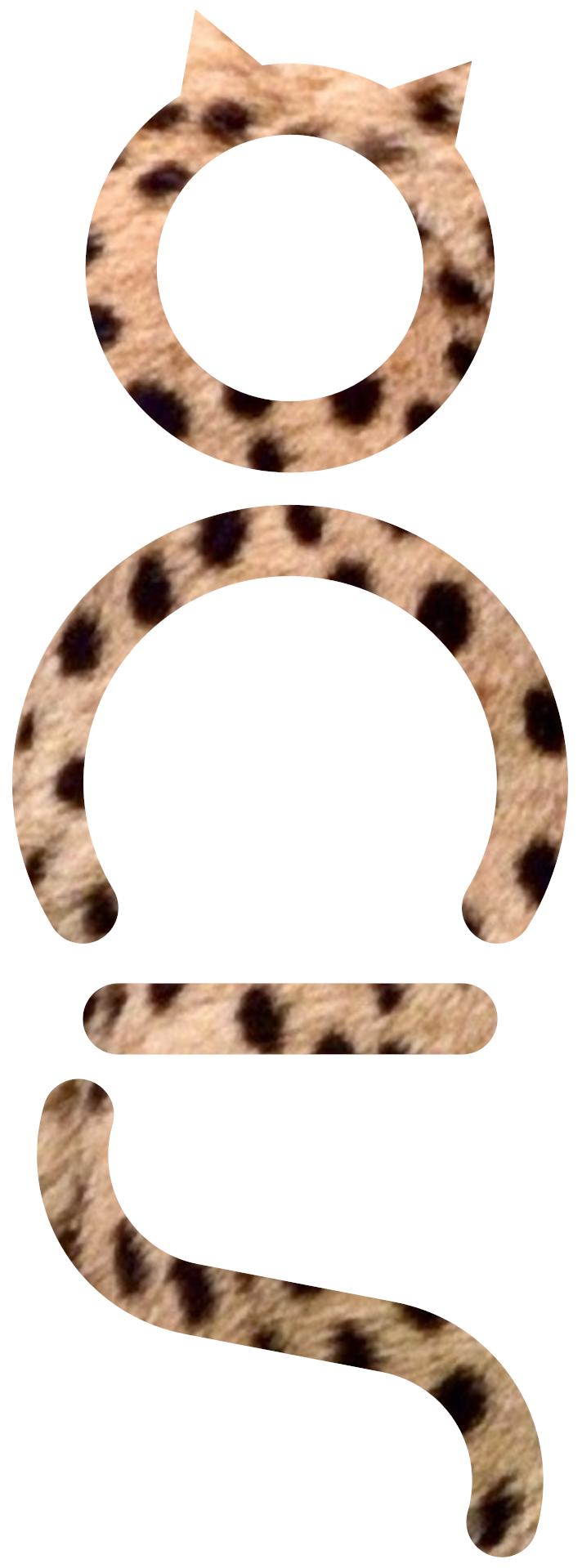 Ocicat managment AB logotyp