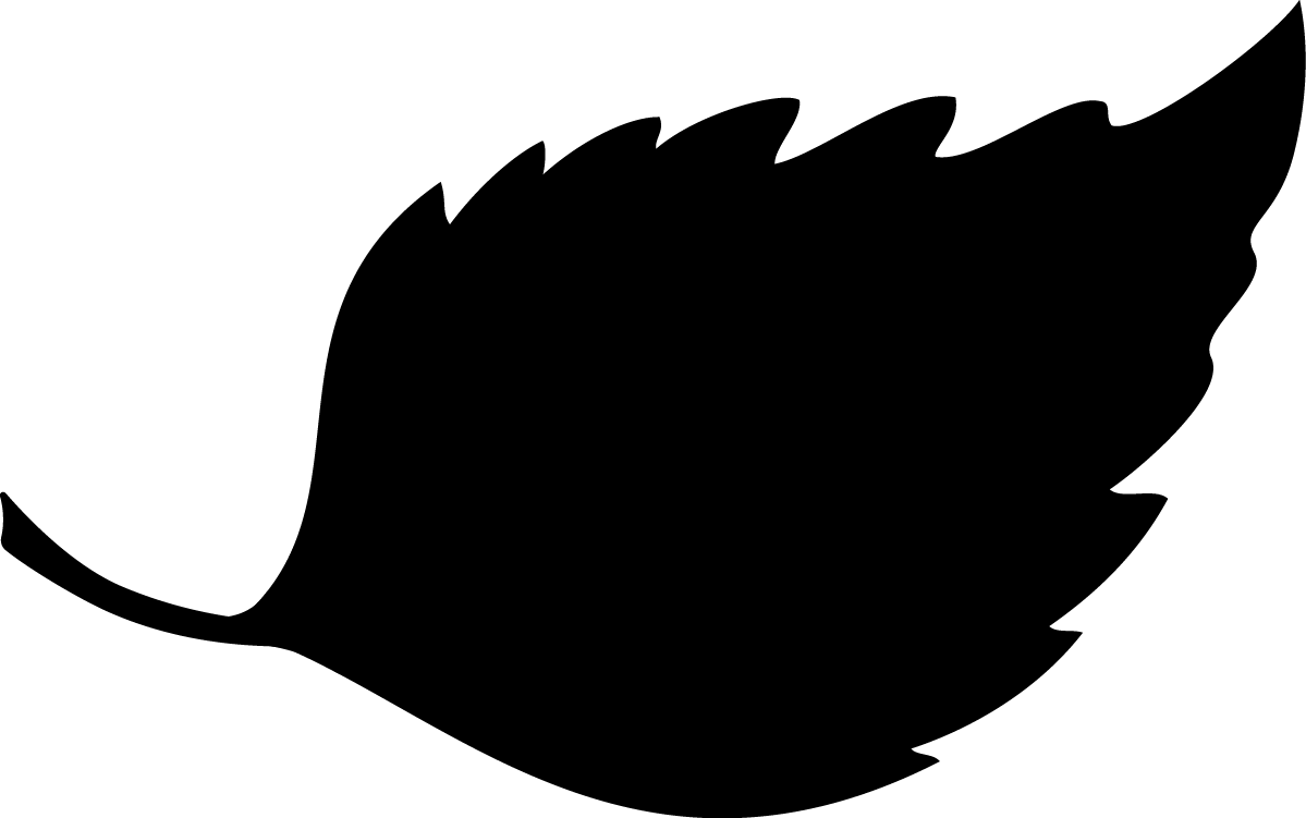 Acctus Audentes AB logotyp