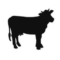 Kängsta Naturbruk AB logotyp