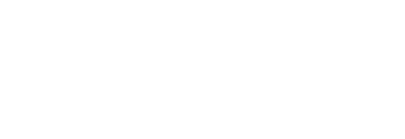 NaijTeknik AB logotyp