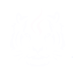 Sondaica Technology AB logotyp