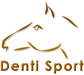 Denti Sport AB logotyp