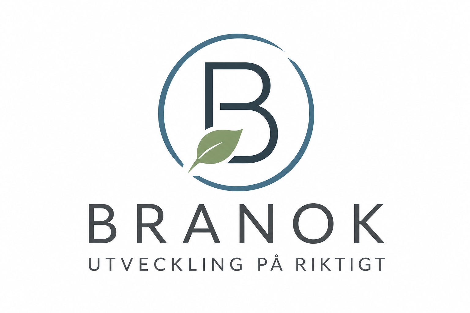BraNok AB logotyp