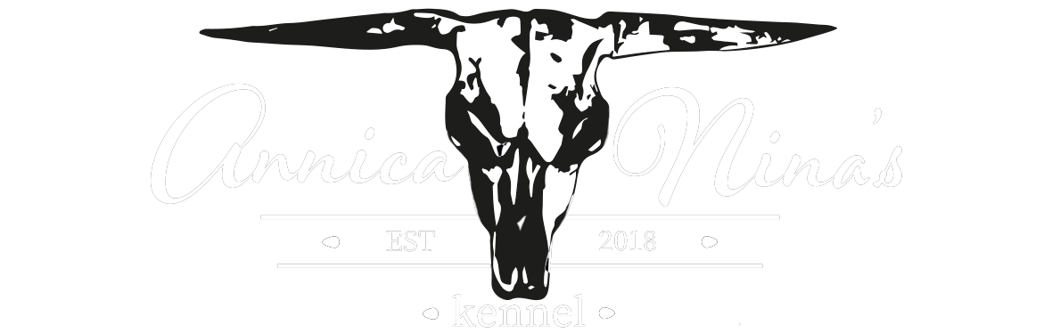 Annica Nina AB logotyp